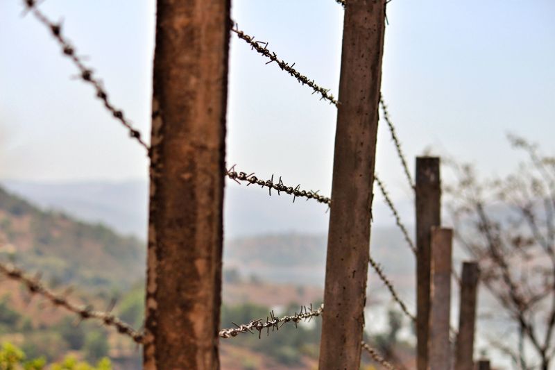 barbed wire