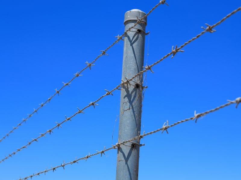 Barbed Wire