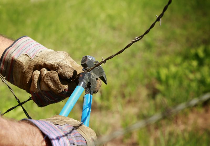 Barbed Wire on Fencing