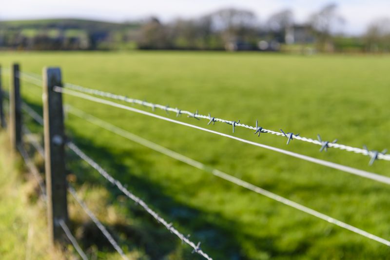 Barbed Wires in Agricultural Settings