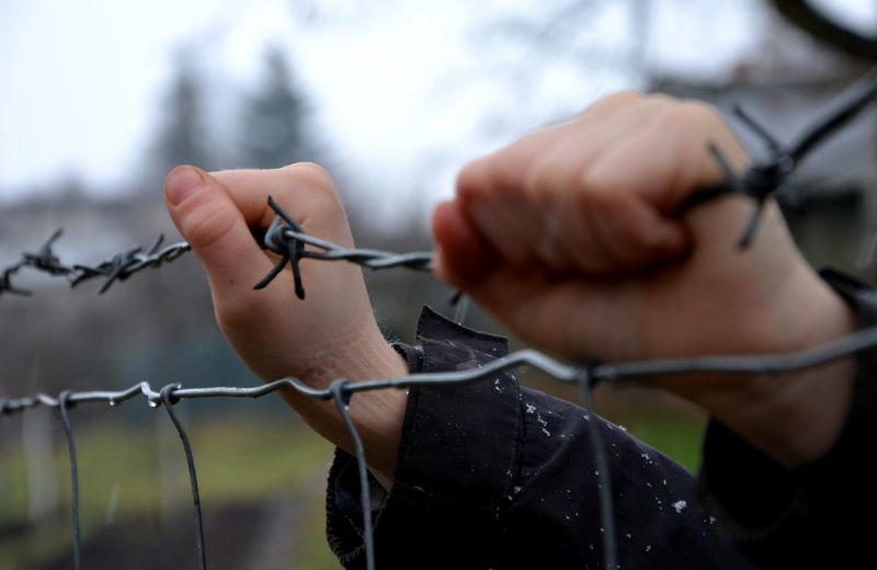 Barbed Wire