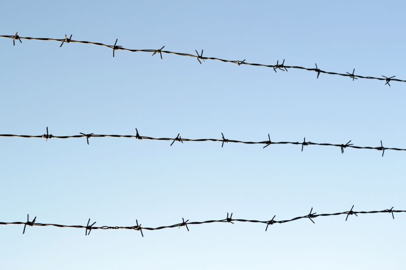 barbed wire